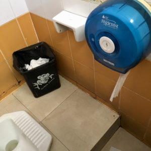 Idée révolutionnaire du jour : Les toilettes à la turque propres ?