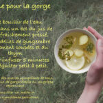 Tisane pour la gorge