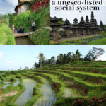 Bali, a traditional democracy, a unesco-listed social system