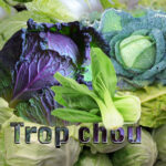 Trop chou – Cabbage recipe